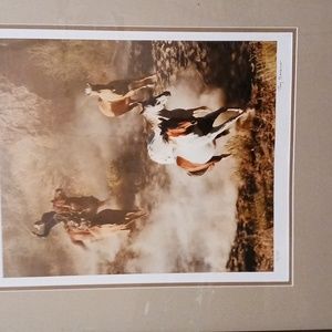 Framed Horses & Cowboy Print